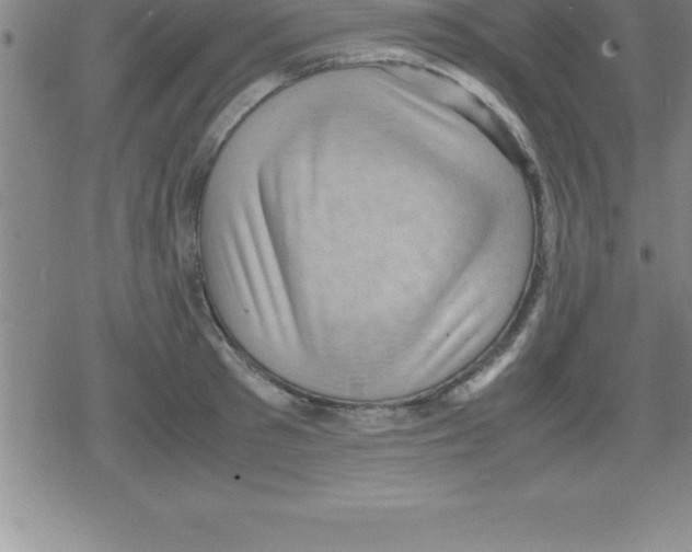 X0000079340897200612151905