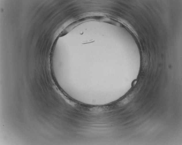 X0000079340898200612151905