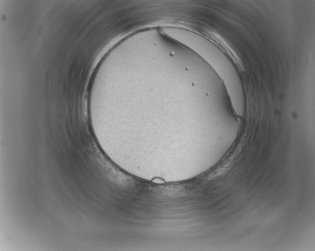 X0000079340900200612151905