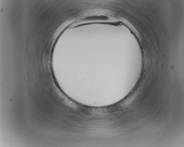 X0000079340901200612151905