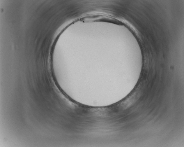 X0000079340902200612151905