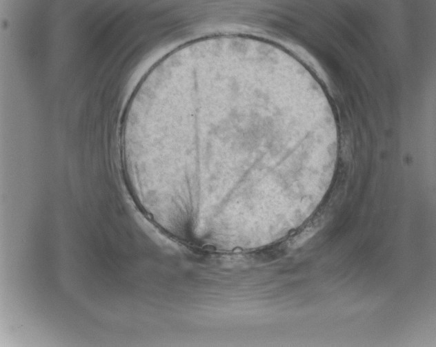 X0000079340903200612151905