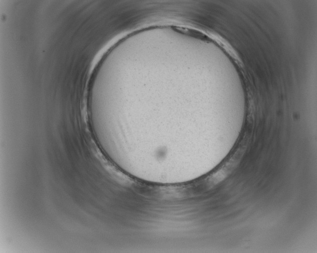 X0000079340904200612151905