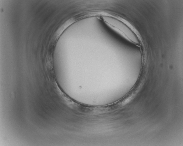 X0000079340905200612151905