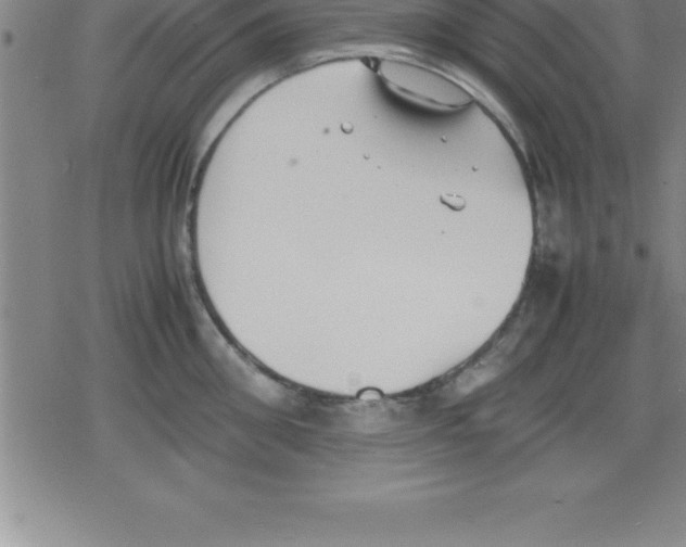 X0000079340906200612151905