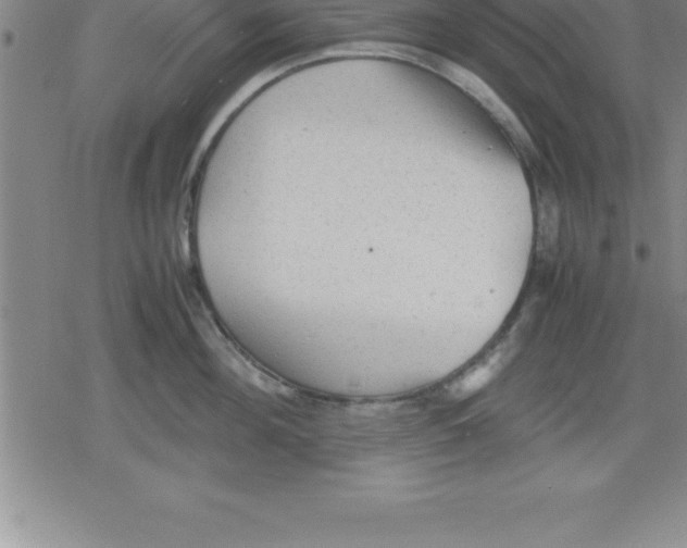 X0000079340908200612151905