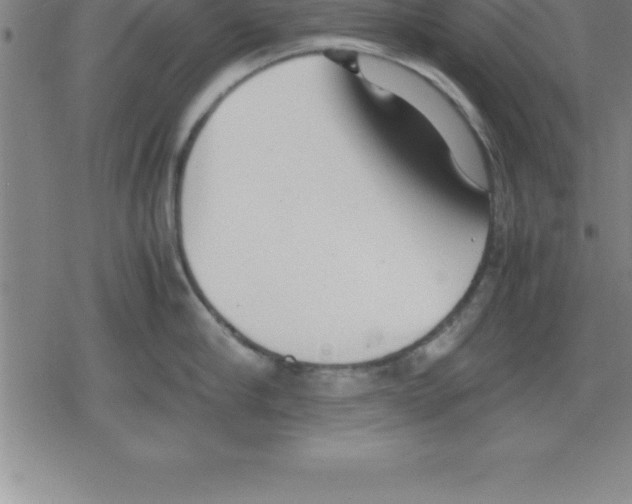 X0000079340910200612151904