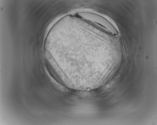 X0000079340911200612151904