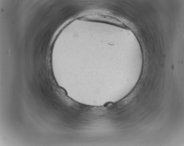 X0000079340912200612151904