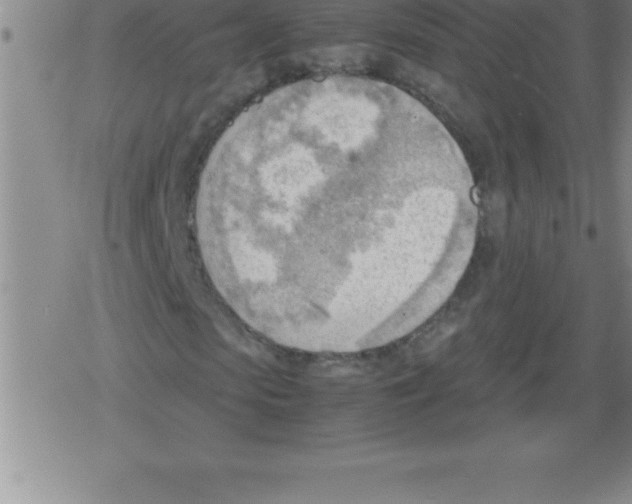 X0000079340913200612151904