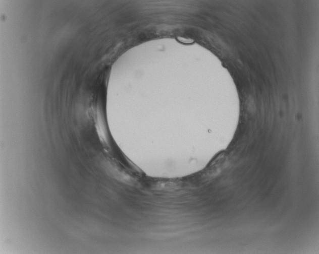 X0000079340914200612151904