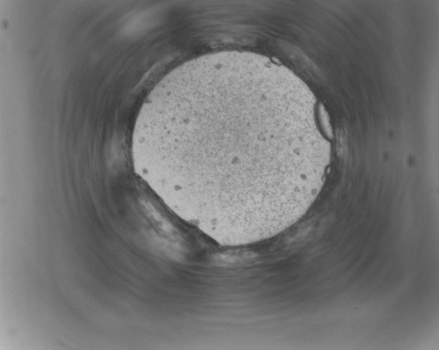 X0000079340915200612151904