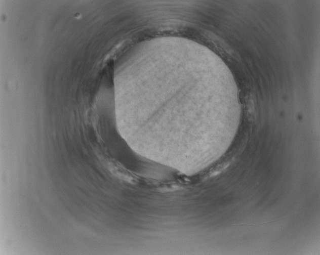 X0000079340916200612151904