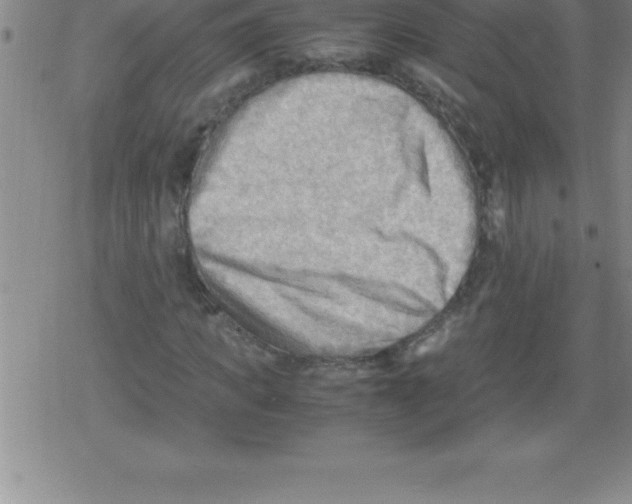 X0000079340917200612151904