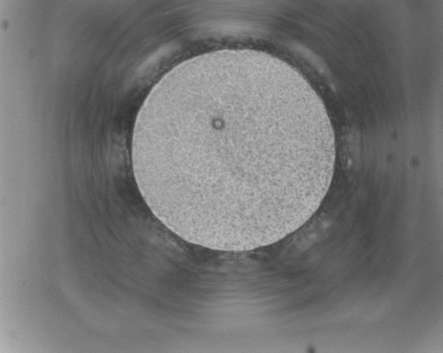 X0000079340918200612151904