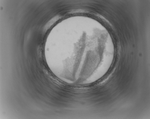 X0000079340921200612151904