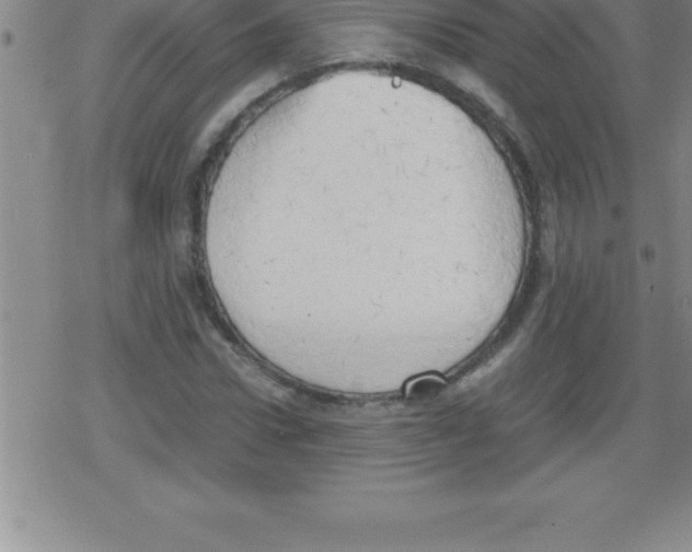 X0000079340922200612151904