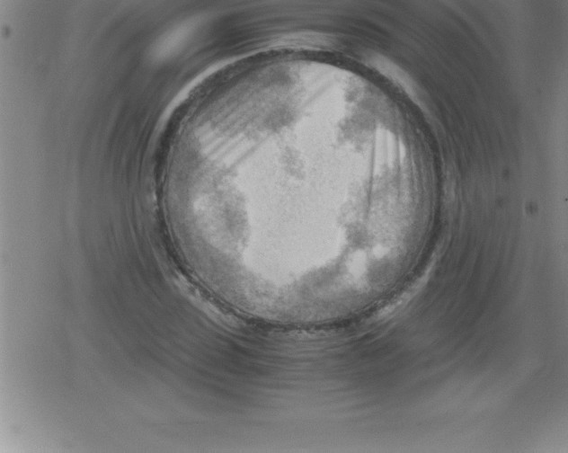 X0000079340923200612151904