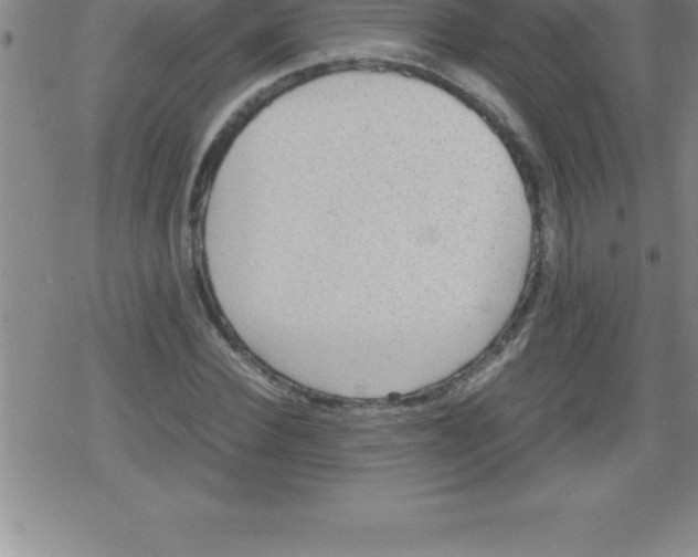 X0000079340924200612151904