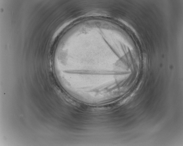 X0000079340925200612151904