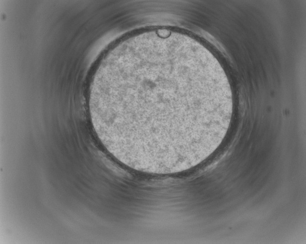 X0000079340926200612151904