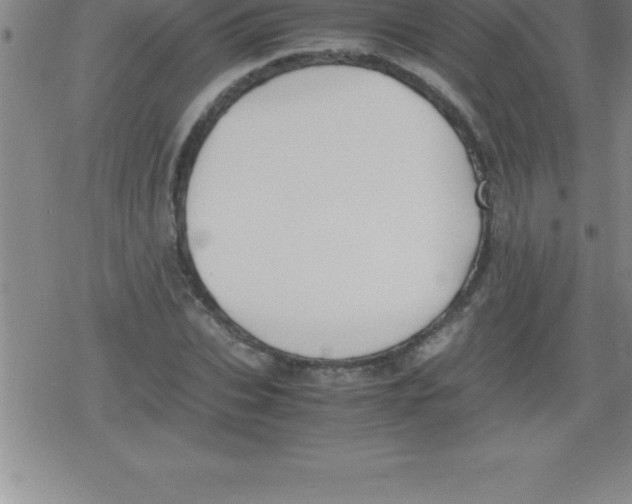 X0000079340927200612151904