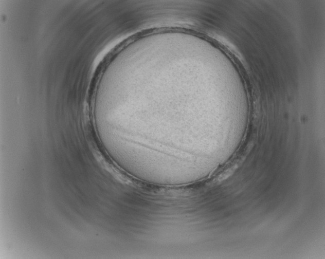 X0000079340928200612151904