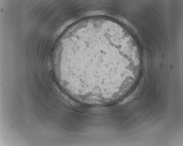 X0000079340929200612151904