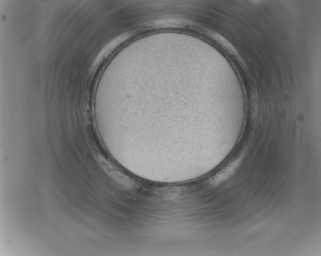 X0000079340930200612151904