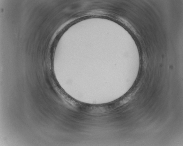 X0000079340931200612151904