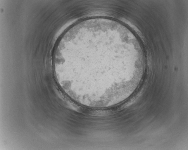 X0000079340933200612151904