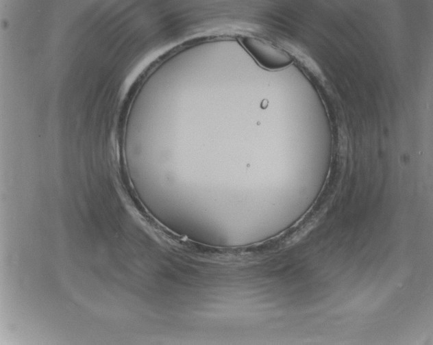 X0000079340936200612151904