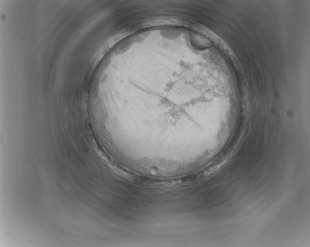 X0000079340937200612151904