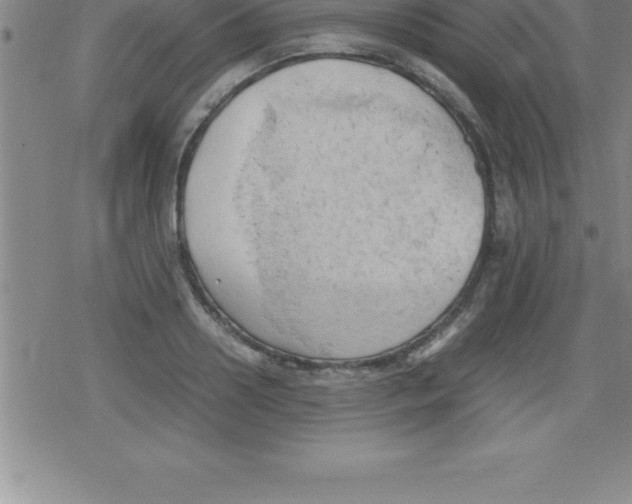 X0000079340938200612151904