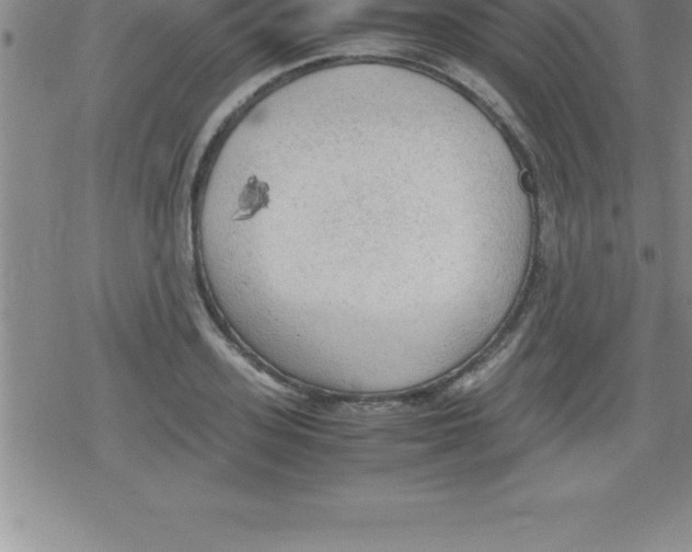 X0000079340939200612151904