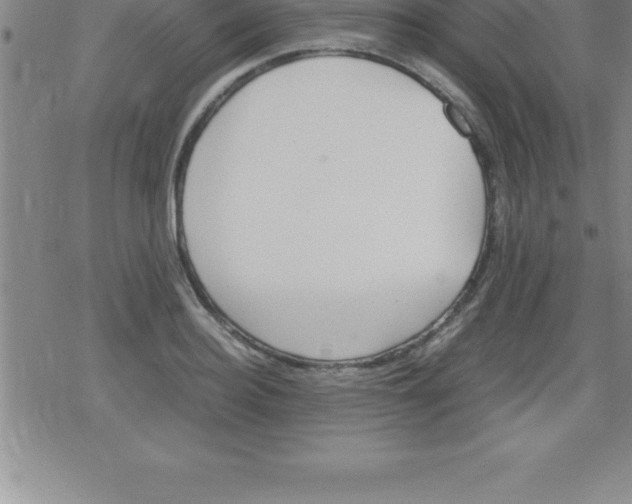 X0000079340940200612151904