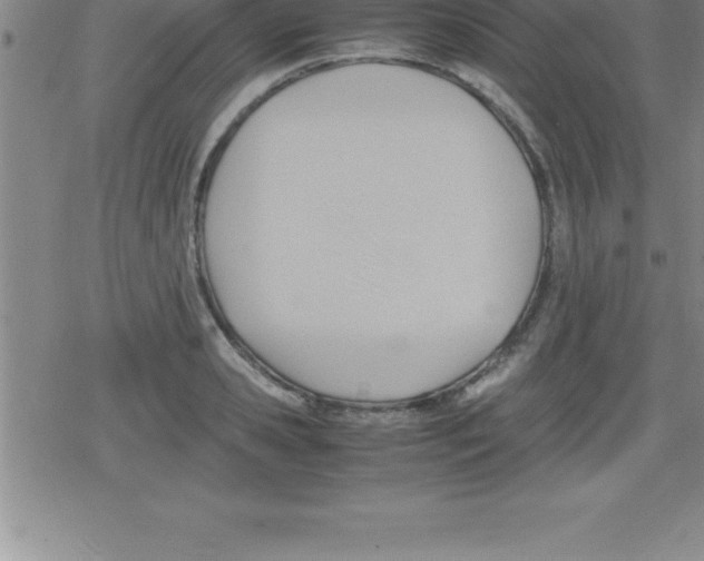 X0000079340941200612151904