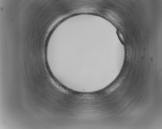 X0000079340942200612151904