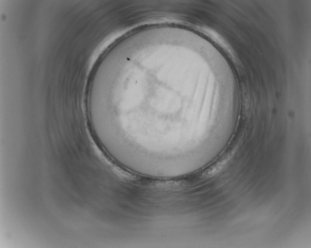 X0000079340943200612151904