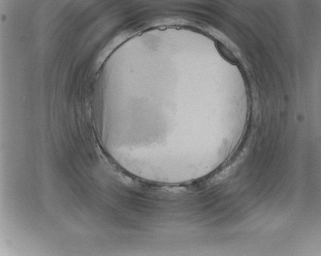 X0000079340945200612151904