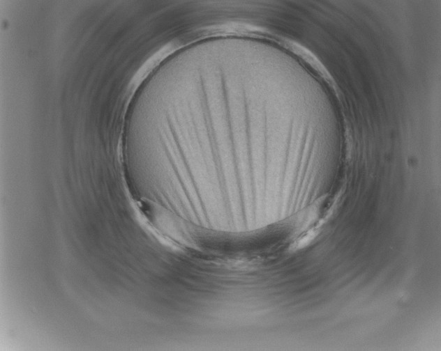 X0000079340946200612151904