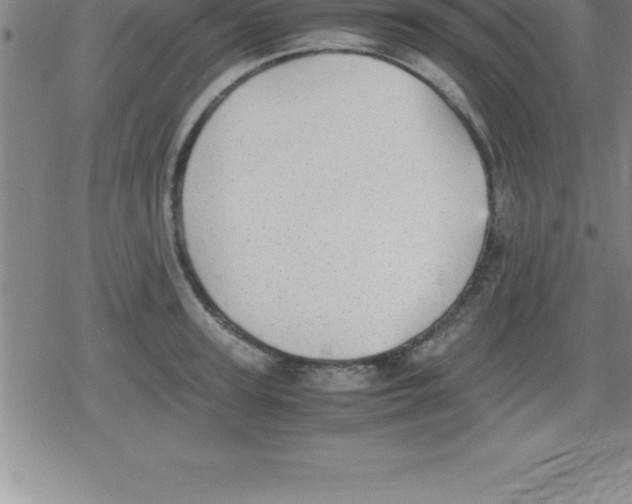 X0000079340947200612151904