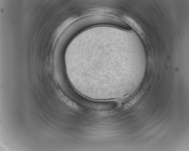 X0000079340948200612151904