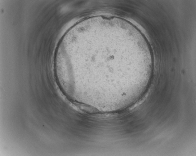 X0000079340949200612151904