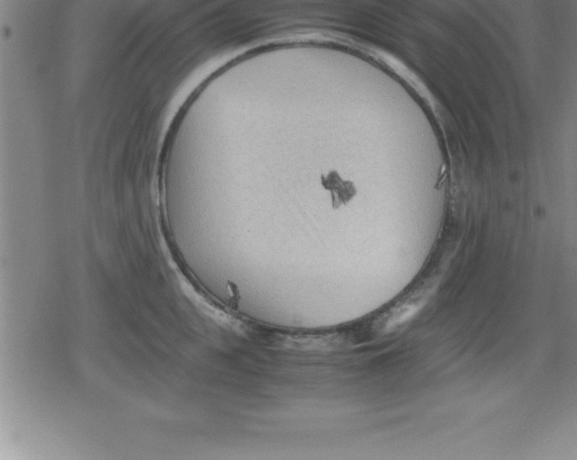 X0000079340951200612151904