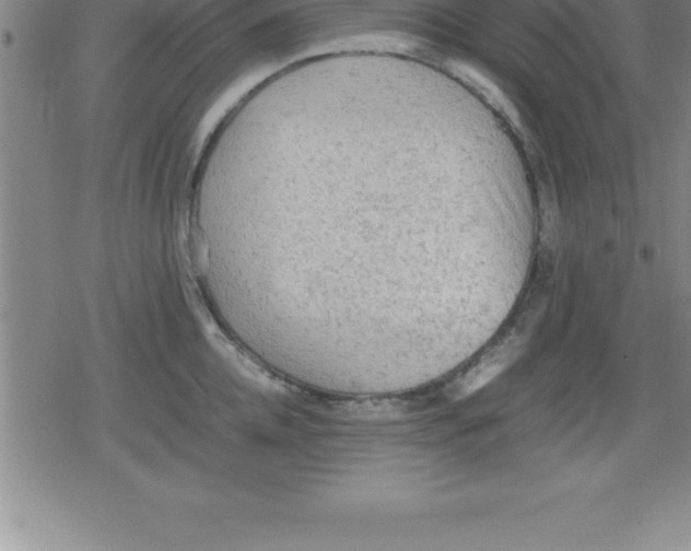 X0000079340952200612151904