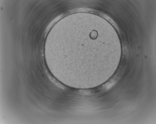 X0000079340954200612151904