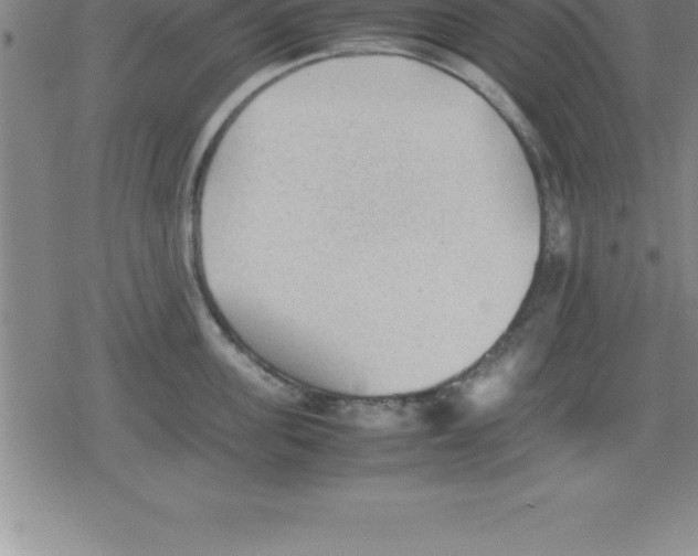 X0000079340955200612151904