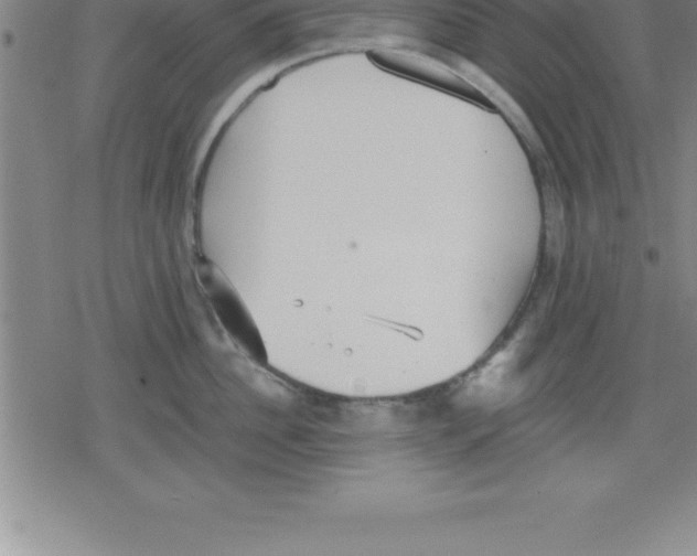 X0000079340956200612151904