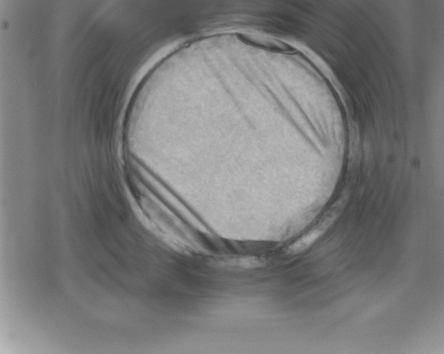 X0000079340957200612151904